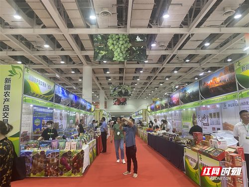 新疆農(nóng)產(chǎn)品長沙交易會盛大開幕，超300種初級產(chǎn)品等你來品鑒
