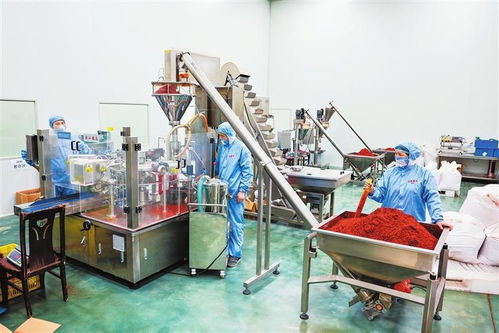 隴右名城熱潮涌動(dòng) 從田間到舌尖，天水麻辣燙火爆出圈的“初級(jí)農(nóng)產(chǎn)品”密碼